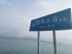 -杨梅坑