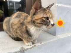 -CHURCH  BISTRO 教堂·餐吧