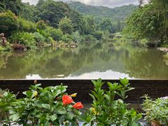 -深圳仙湖植物园