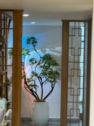 -禾壹净·素颜美问题肌肤修护中心