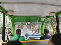 -合肥滨湖国家森林公园