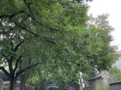 -北京国子监胡同