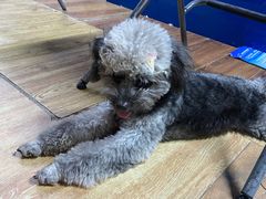 -赛可优数码广告印刷(解放南路店)