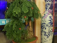 -蓝海岸温泉洗浴