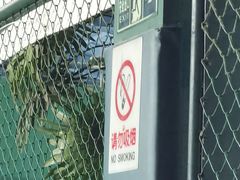 -东丽温泉羽毛球