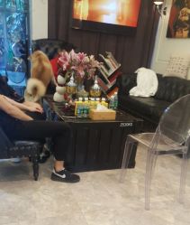 -SALON TV x ILCOLPO