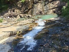 -广州白江湖森林公园