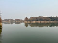 -苏州太湖国家湿地公园