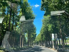 -白水寺森林公园