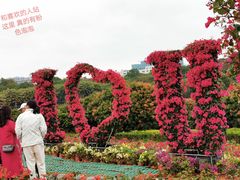 -东莞植物园