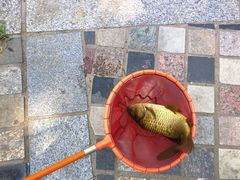 -酷鱼垂钓CLUB(朝阳区博大路店 )