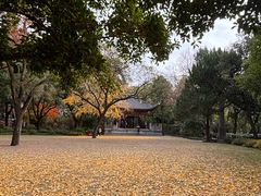 -汇龙潭