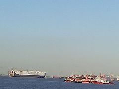 -上海滨江森林公园