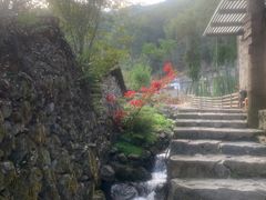 -MOJ coffee(瓯海泽雅水碓坑店)