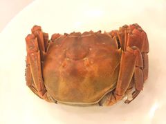 -岭南海晏楼(滨江东总店)
