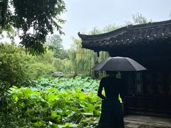 -盆景园(扬州大运河文化旅游度假区)