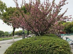 -江南大学(蠡湖校区)