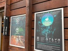 -怀托摩萤火虫洞