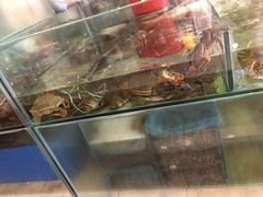 -兴旺海鲜砂煲王