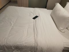 -海悦酒店(白石洲地铁站世界之窗店)