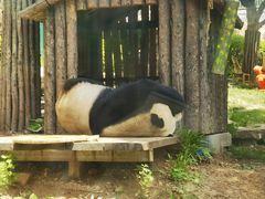 -大连森林动物园