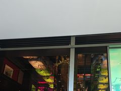 -杏花堂晋商私房菜(华熙五棵松店)