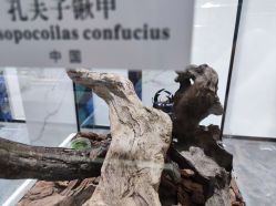 -酷嗒动物文化乐园(cutezoo西溪乐天城店)