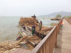 -太湖湖滨国家湿地公园-停车场