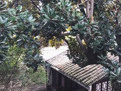 -蒋氏故居
