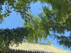-恭王府博物馆