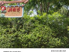 -热高乐园巴厘岛水世界
