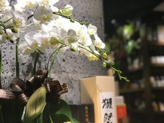 店内布置-串鑫