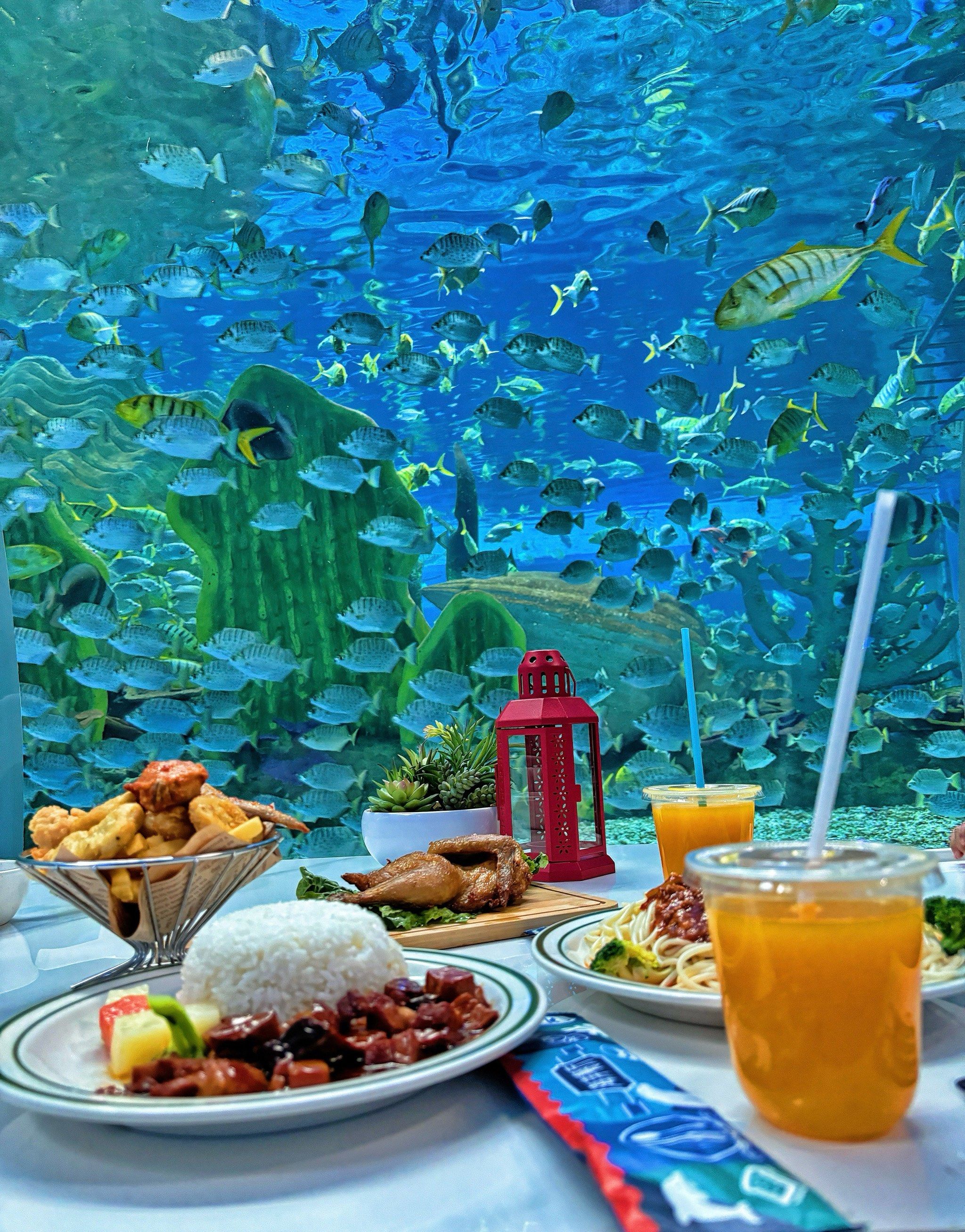 欧乐堡里的水下餐厅绝美