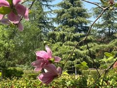 -筋骨堂热敷推拿按摩(翠华路店)