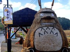 -嘉北郊野公园