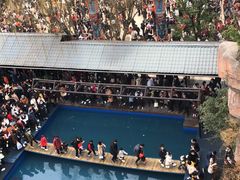 -杭州宋城