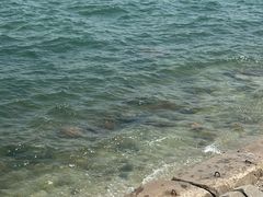 -锦州笔架山风景区
