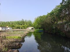 -溱湖国家湿地公园