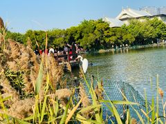 -五缘湾湿地公园