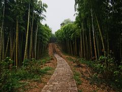 -莫干山风景区