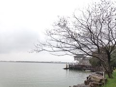 -同里湖度假村(二期店)