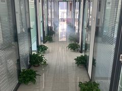 -新航道雅思托福·留学·考研培训(人民广场校区)