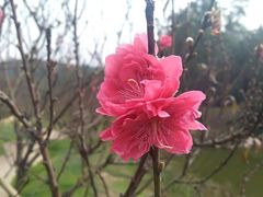 -南国桃园旅游度假区