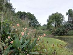 -桤木河湿地公园