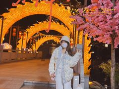 -厦门方特东方神画