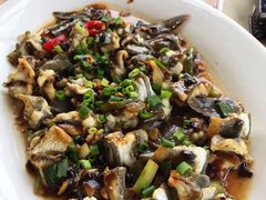 立追鱼-八仔大富楼·河鲜(西江店)