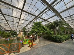 -兴芮温泉度假区