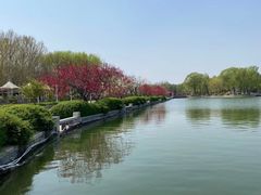 -石家庄市植物园