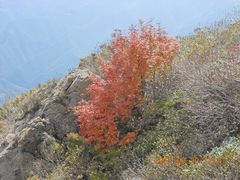 -白草畔自然风景区