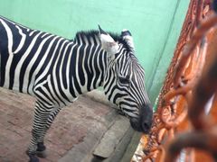 iphone_upload_pic-荆州中山公园动物园